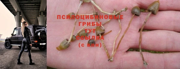 jwh Покровск