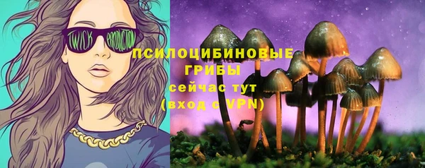 мдпв Покачи